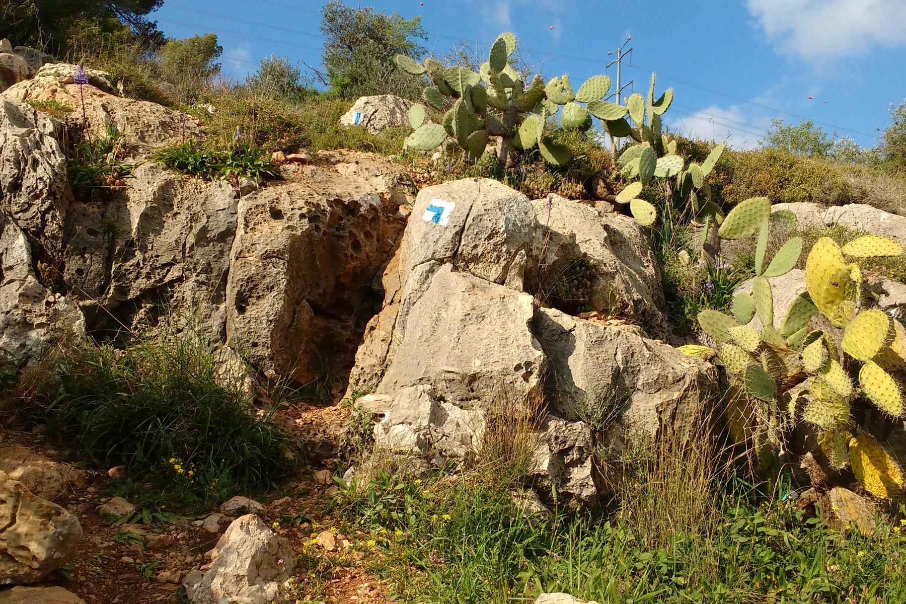Tel-Aviv-Experiences-Israel-National-Trail-1