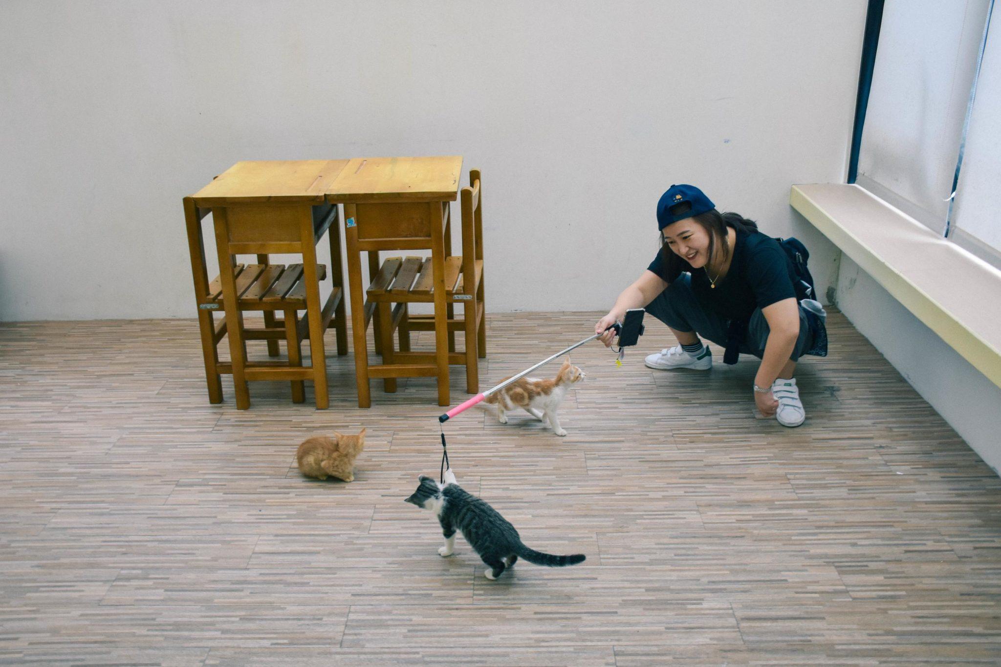 Why You Should Visit Houtong, the “Cat Village of Taiwan”