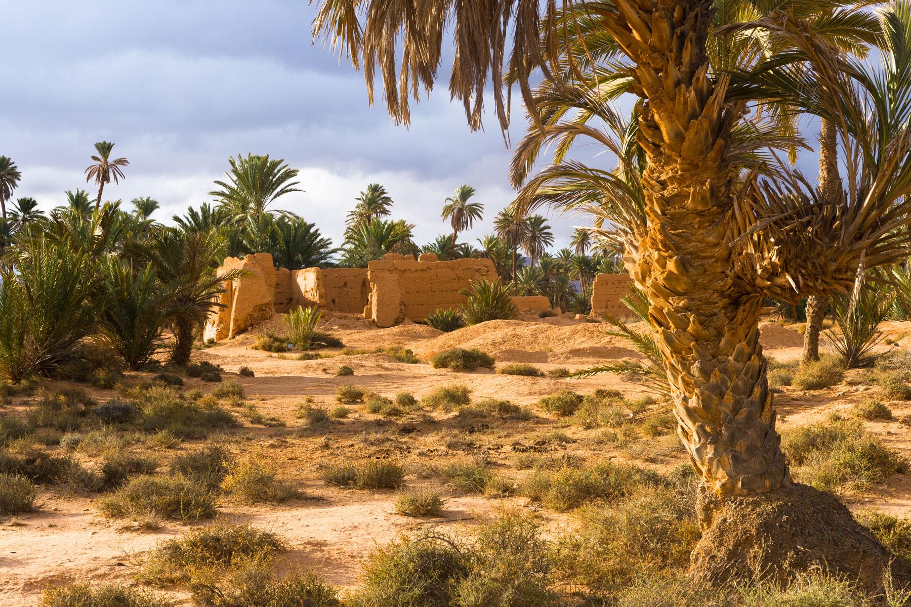 guelmim2