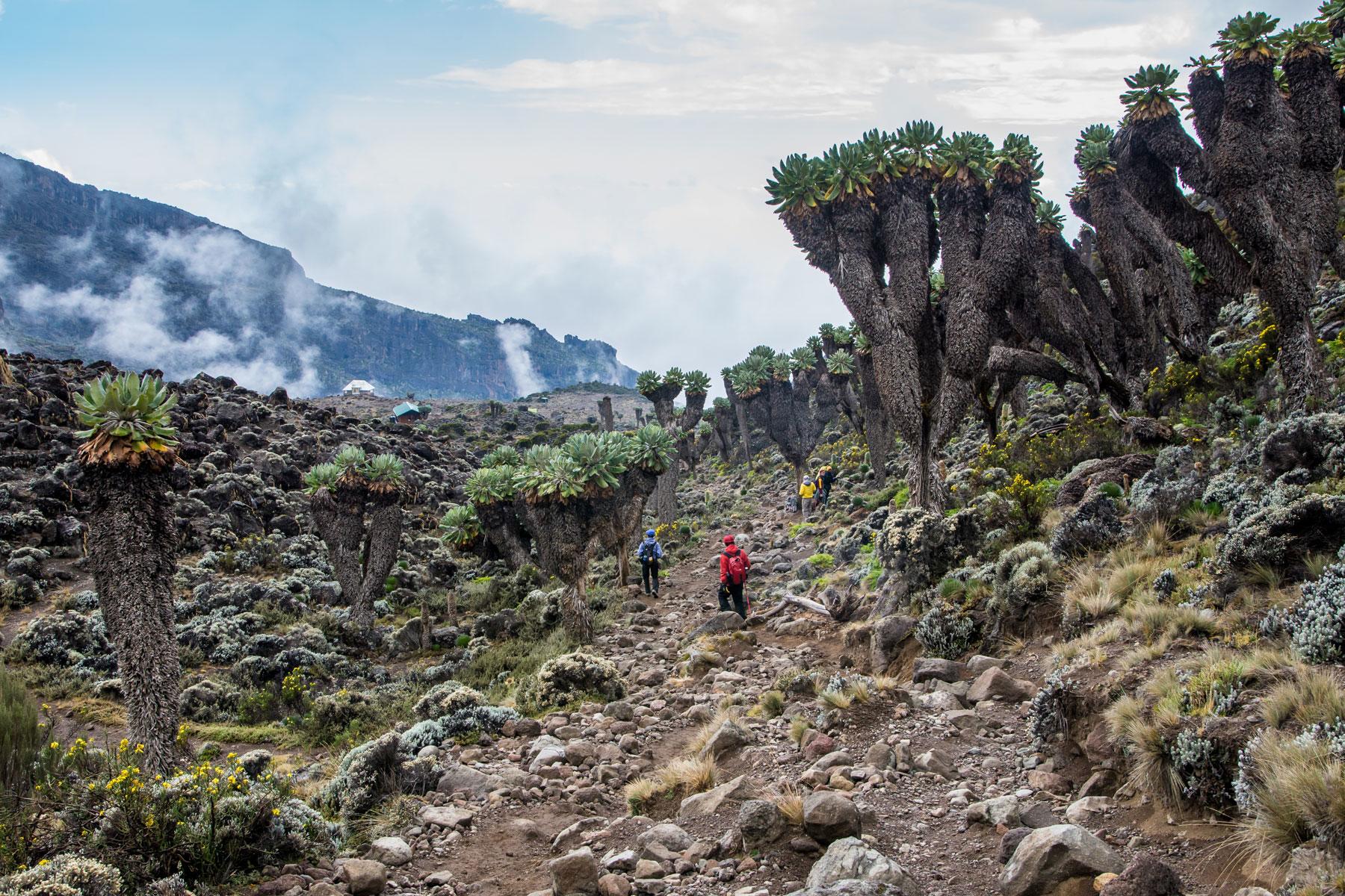 The 10 Best Hikes in Africa