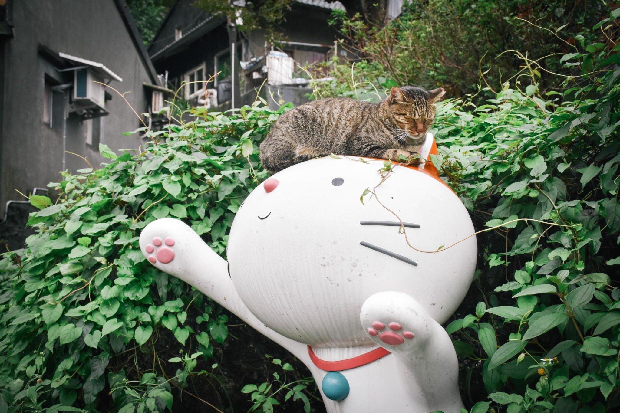 Why You Should Visit Houtong, the “Cat Village of Taiwan”