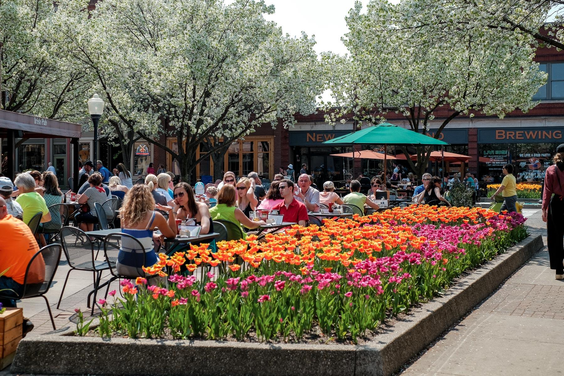 Main-Streets-America-Eighth-Street-Holland-Michigan-2