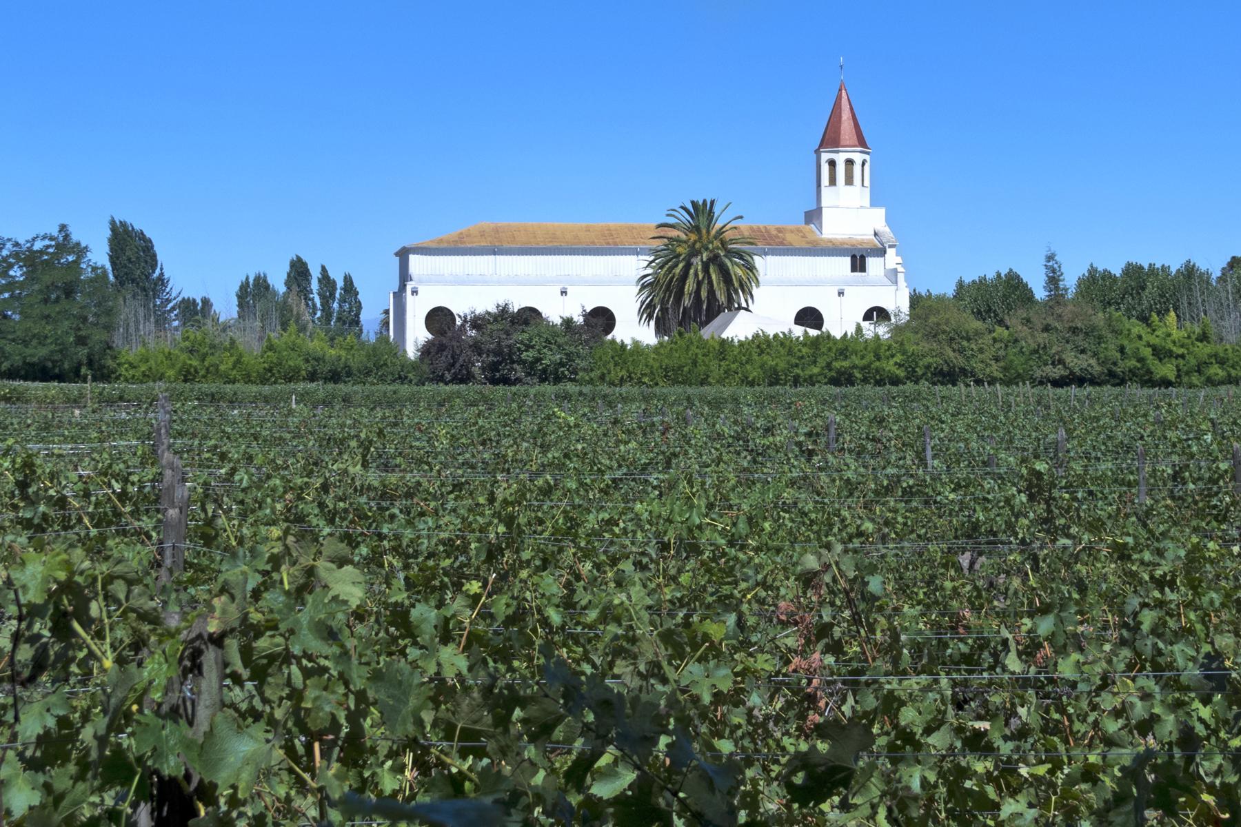 Ultimate-Chile-Winery-Hop-Central-Valley-1