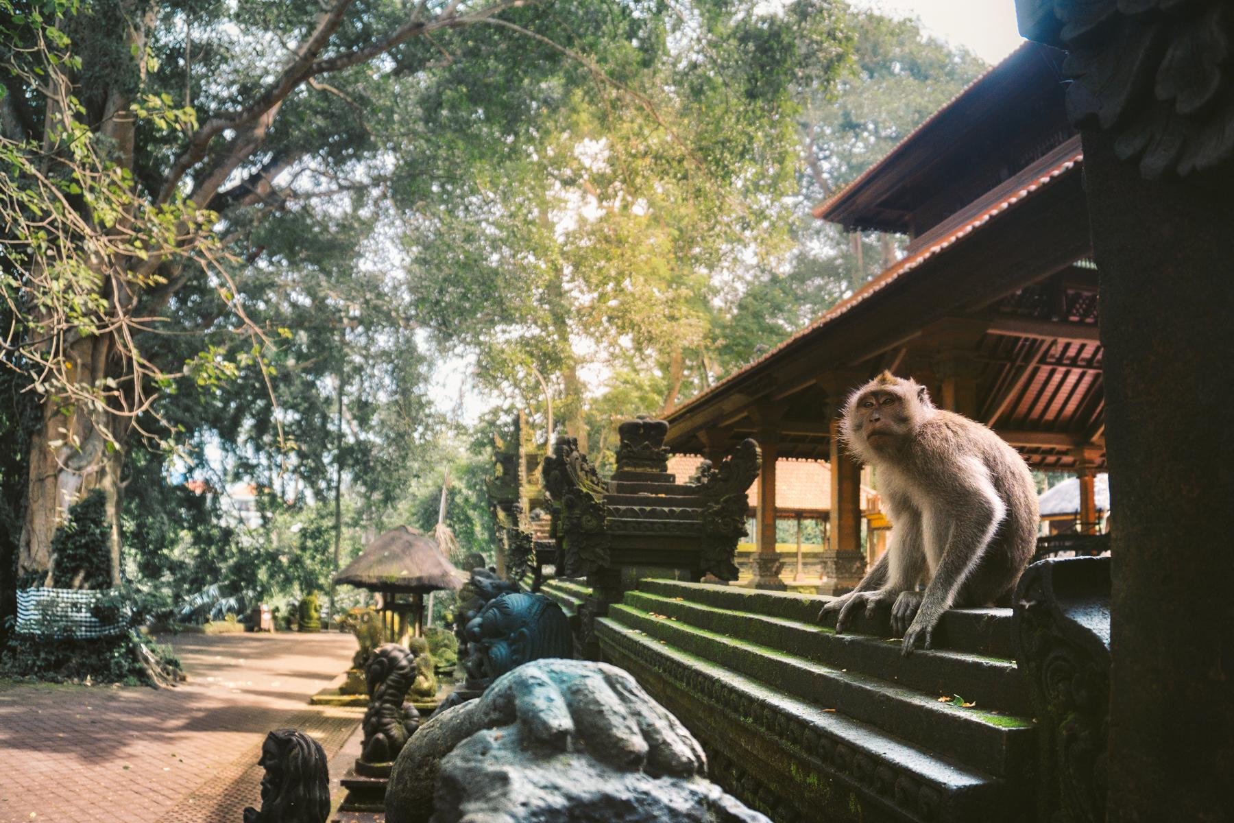 Bali-Is-Perfect-For-Solo-Female-Travel-Affordability-1