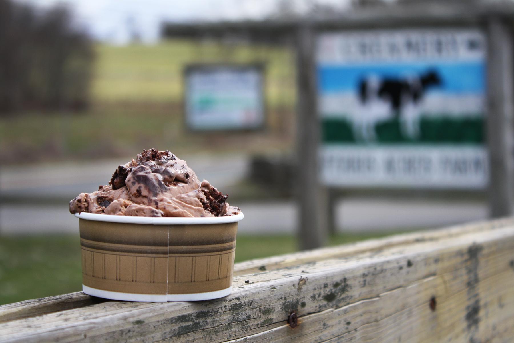 17 Farms in America Where They Make (and You Can Taste!) IceCream