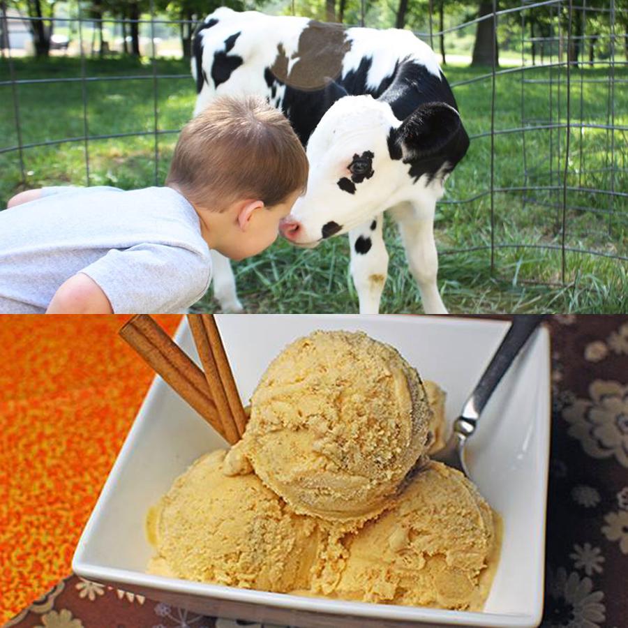 17 Farms in America Where They Make (and You Can Taste!) IceCream