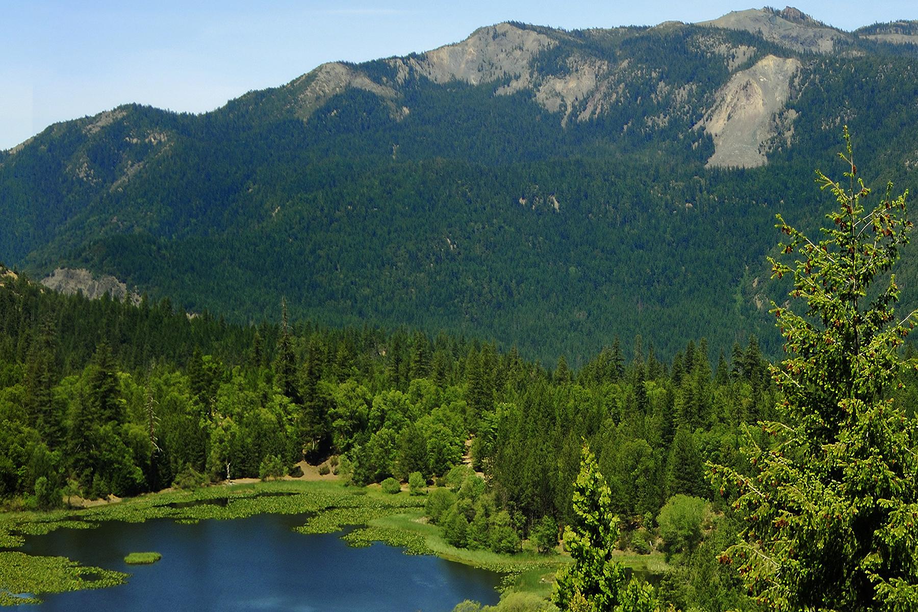 Sasquatch-Hunting-Mendocino-National-Forest