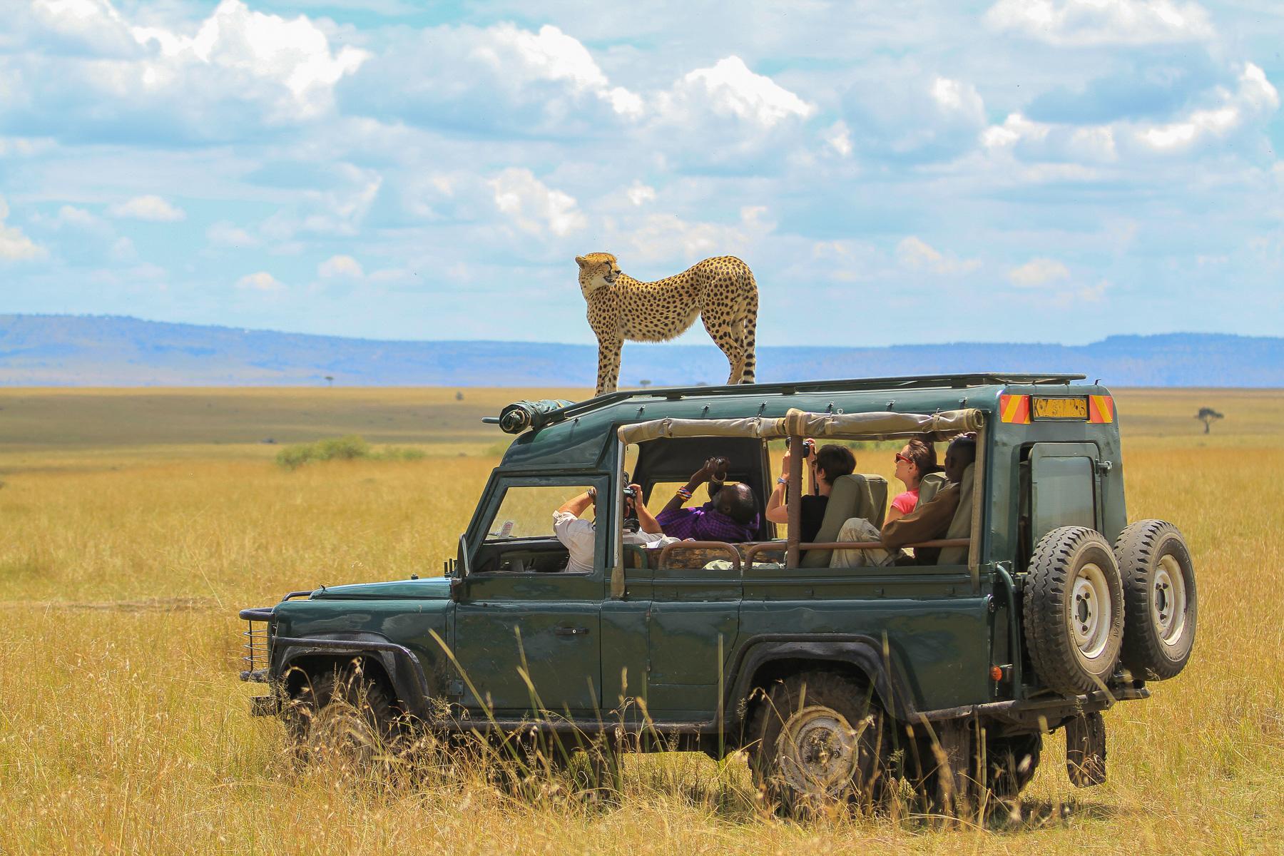 What-To-Wear-Safari-Comfortable-Pants
