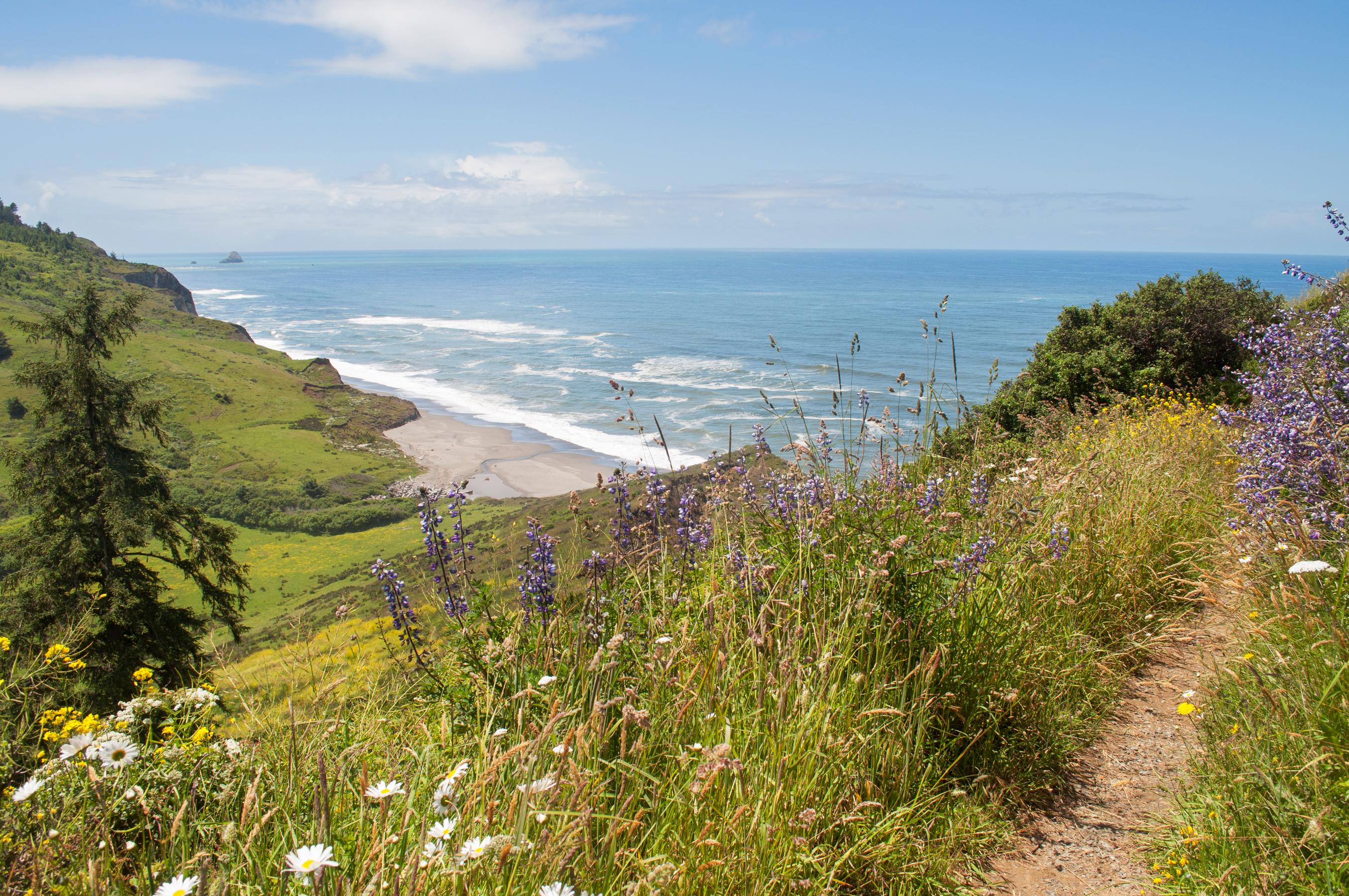 Humboldt County Lost Coast Outpost - hmyzd4l