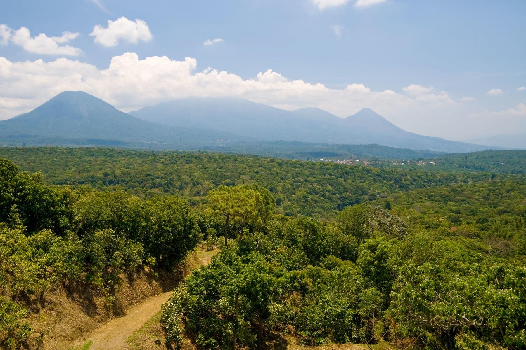 07_Visit_Juayua_Hike and Swim_shutterstock_3089810
