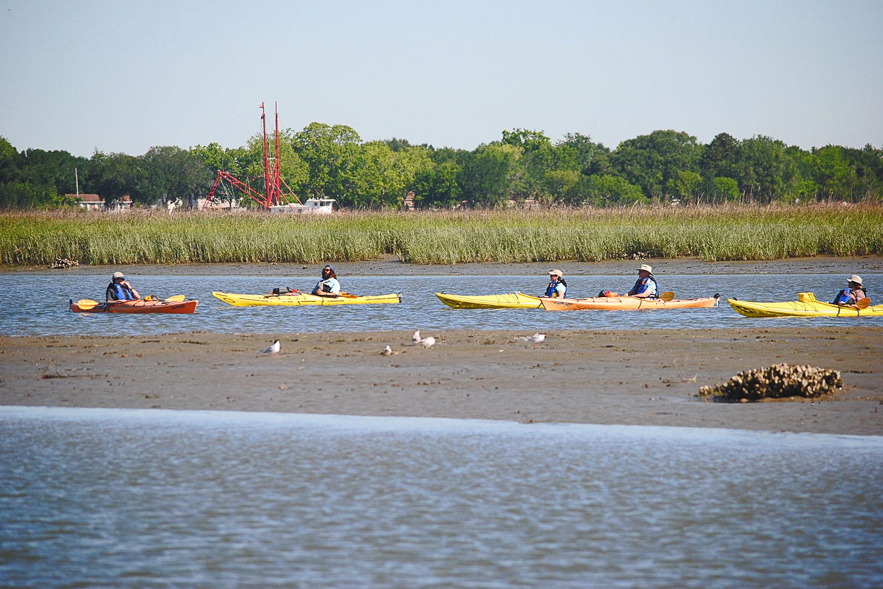 14-Ultimate-Things-To-Do-Charleston- Kayak-The-Intracoastal-Waterway-DSC_0040