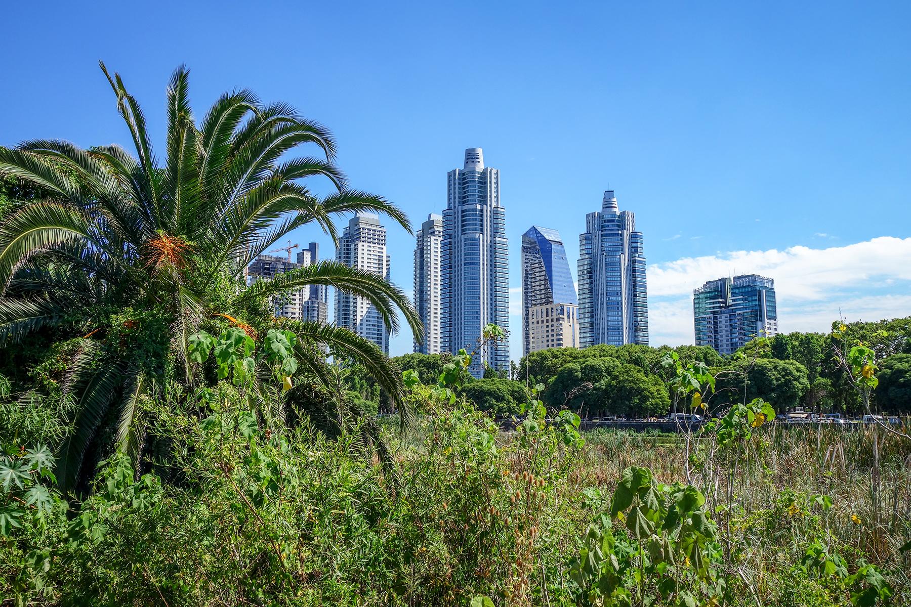 15. Under-The-Radar-Buenos-Aires-Reserva-Ecologica-Costanera-Sur-1