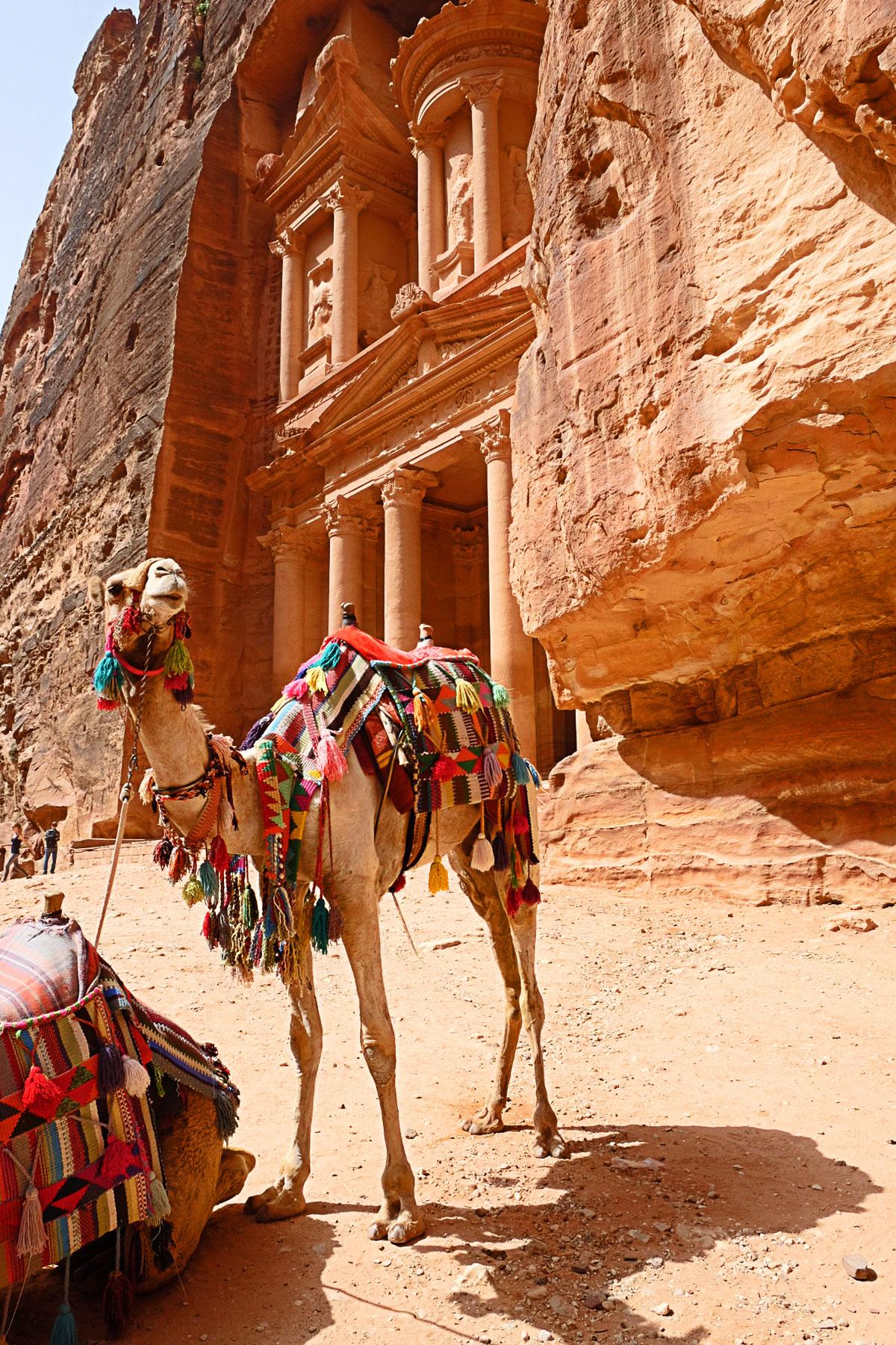 9-Petra-101-Is-It-Really-Crowded-TM_IMG_0003