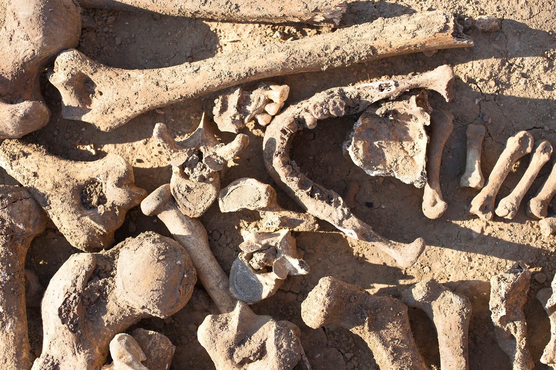 12_DeadFestivalsAroundTheWorld_Tiwah_tiwah_Fest_shutterstock_1157736763_2_1