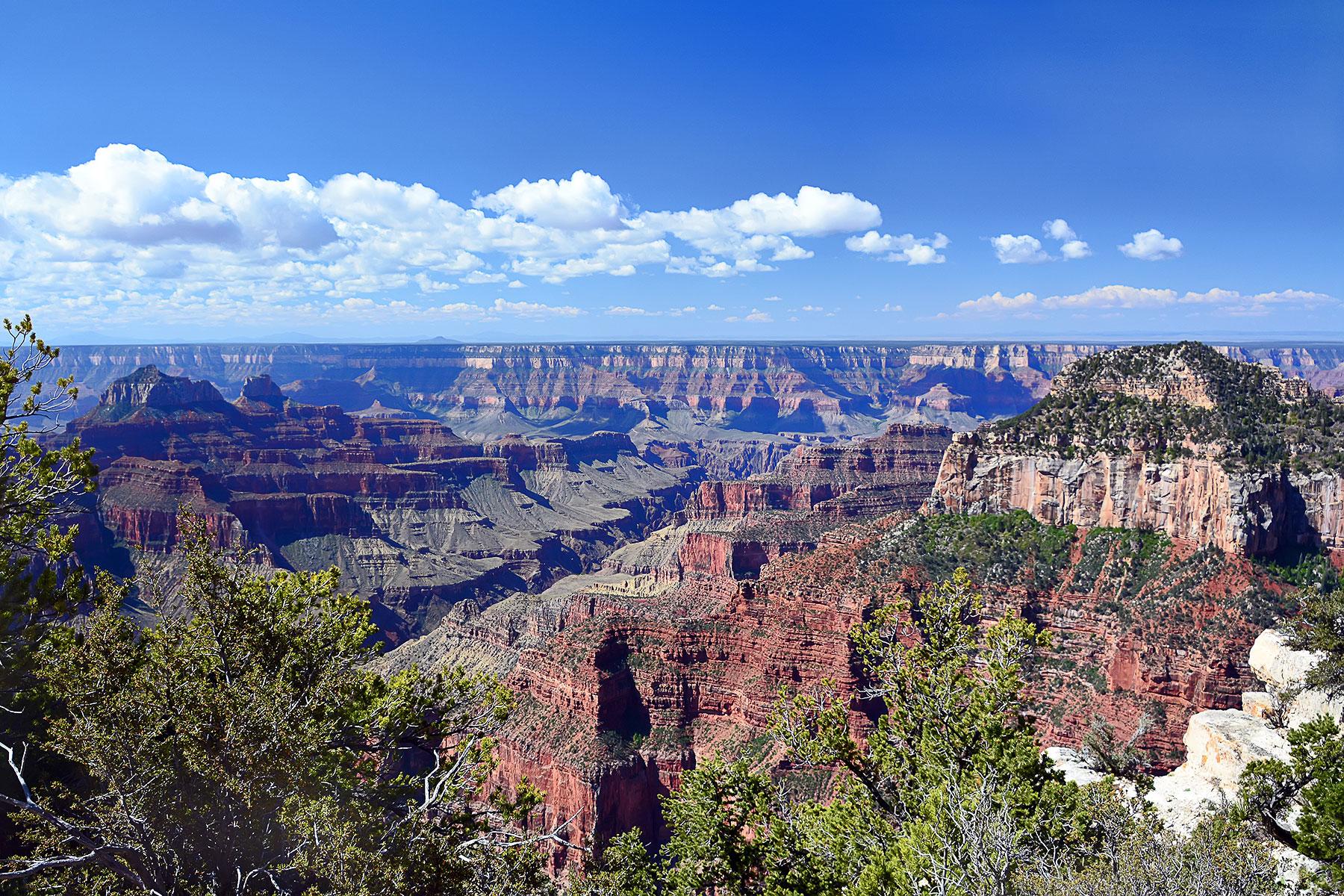 4_GrandCanyon101_WhatHistory_shutterstock356655344_1