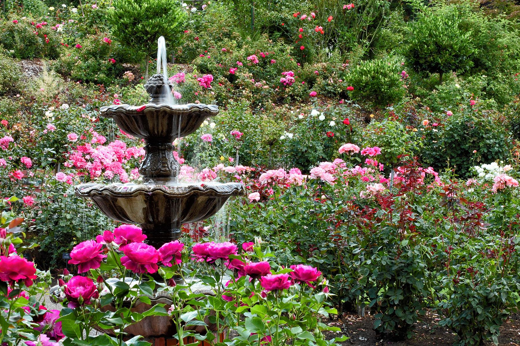 Best Free Botanical Gardens