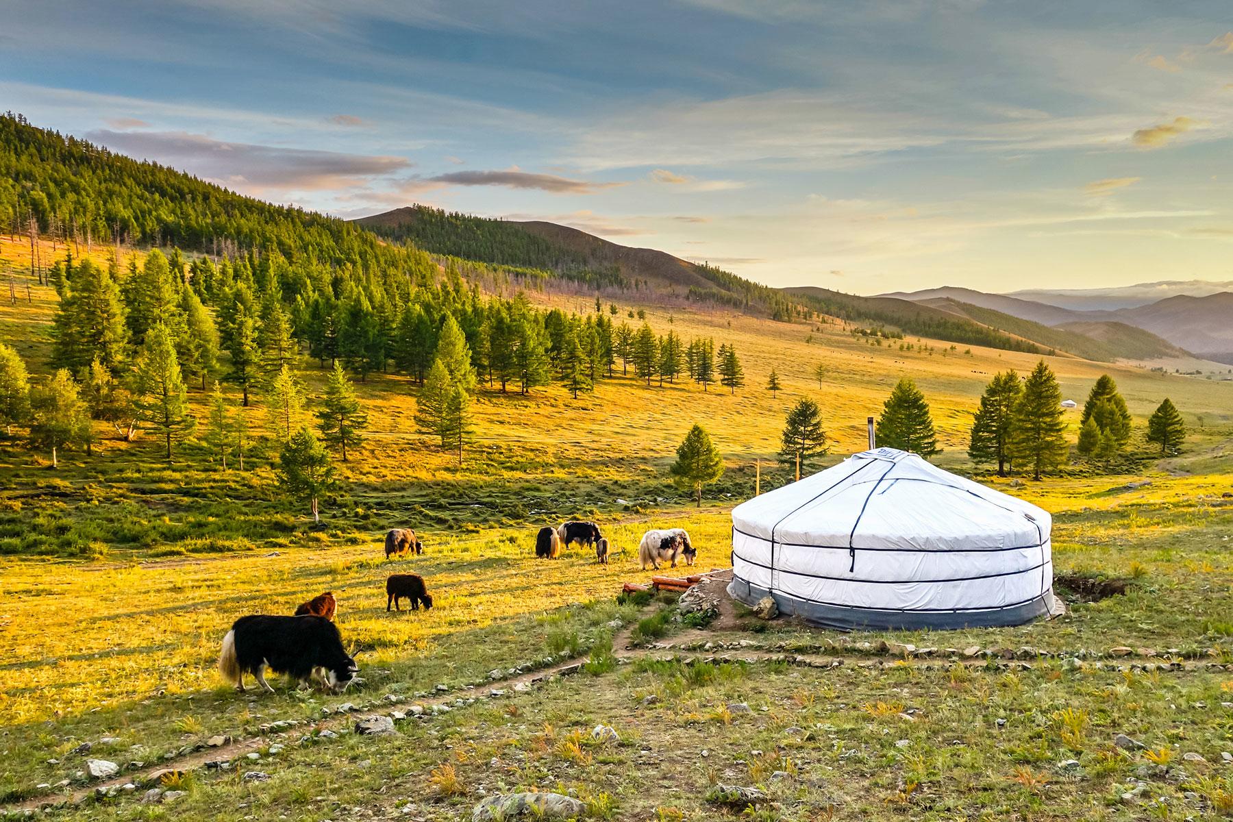 why travel to mongolia