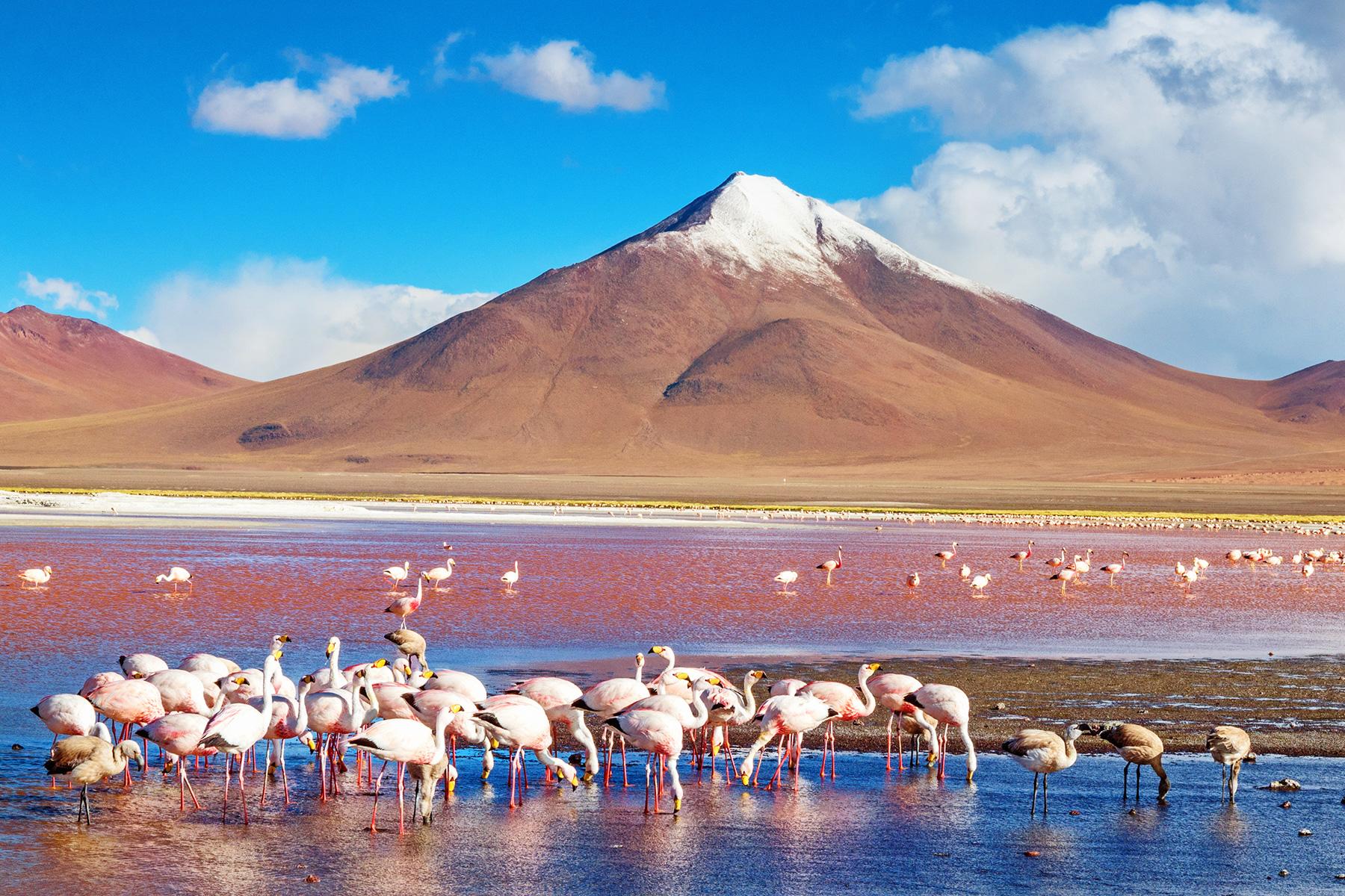 2_SalardeUyuniAdventures_LagunaColorada_shutterstock_1013211826_1