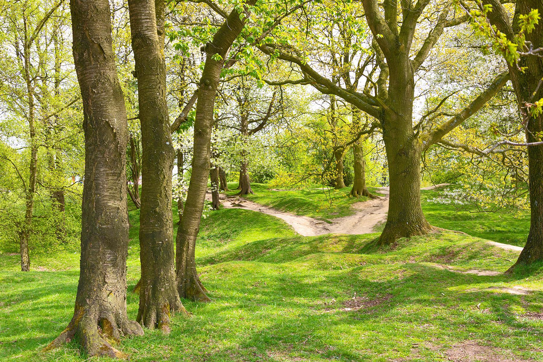 3_FrenchFlandersWWISites_BattleOfPasschendaele_dreamstime_xl_31761071_3
