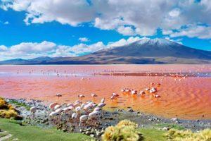 10 Ultimate Adventures to Have When Visiting Salar de Uyuni, Bolivia
