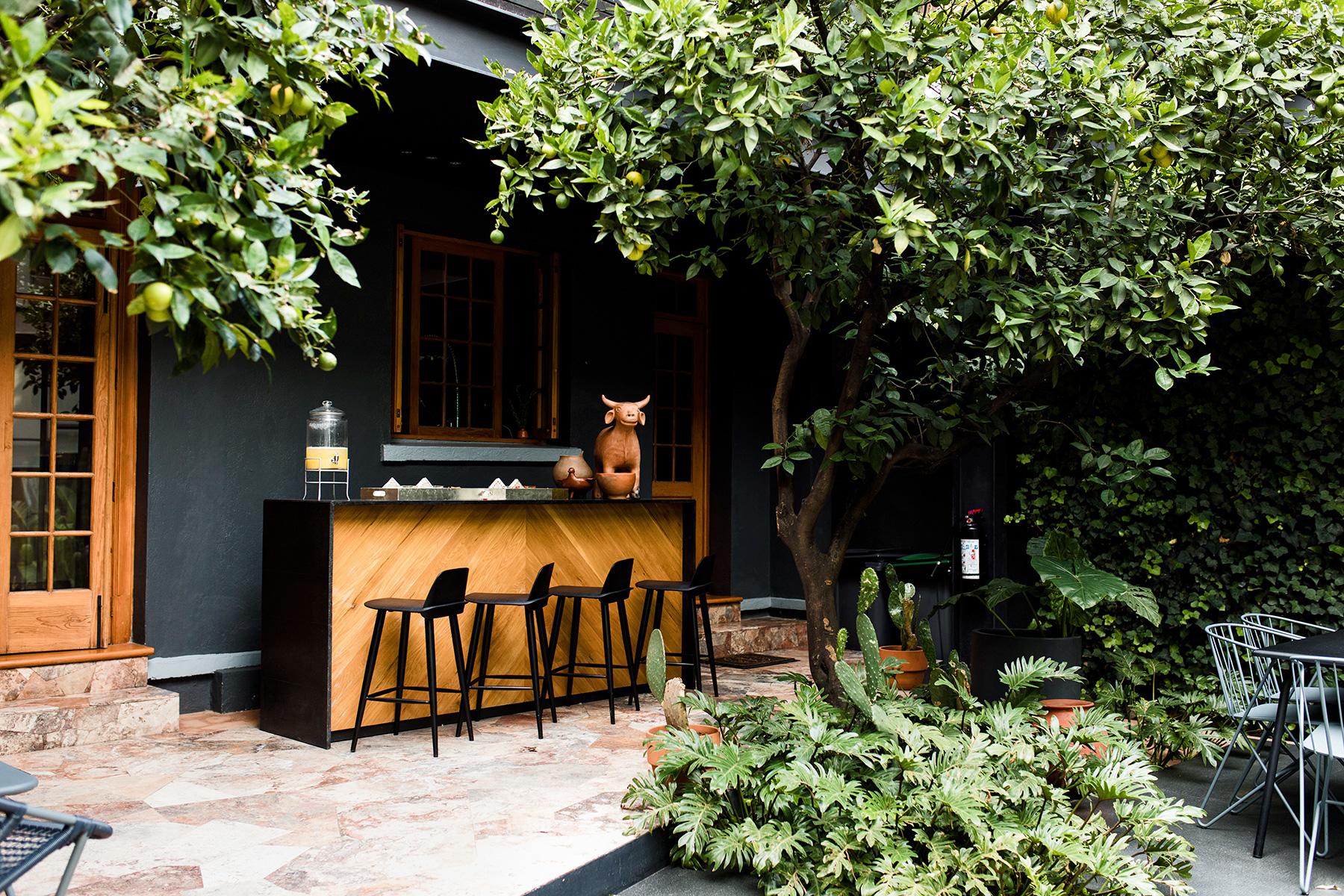 08_HolidayGiftGuideGeneral_WildTerrains_mexico-city-31_4