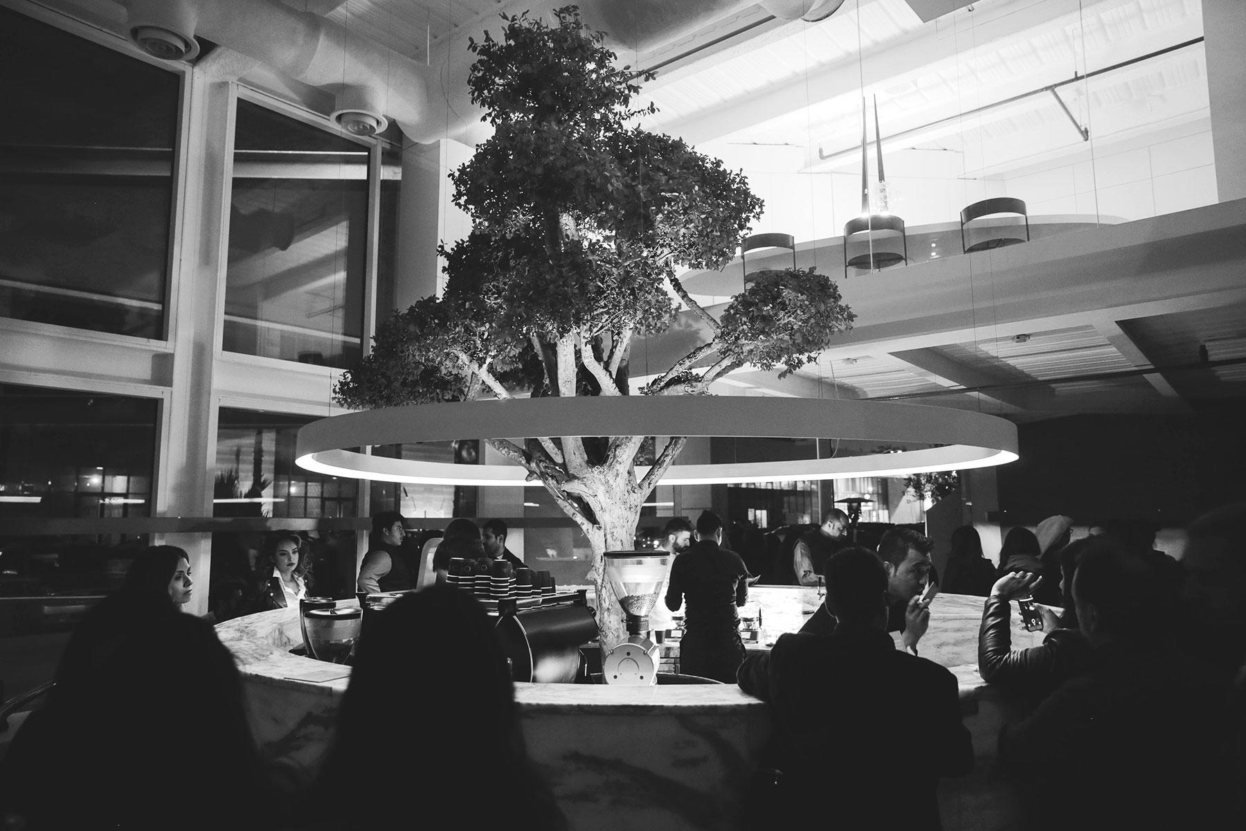 16_ReasonsToVisitKuwait_Cafe