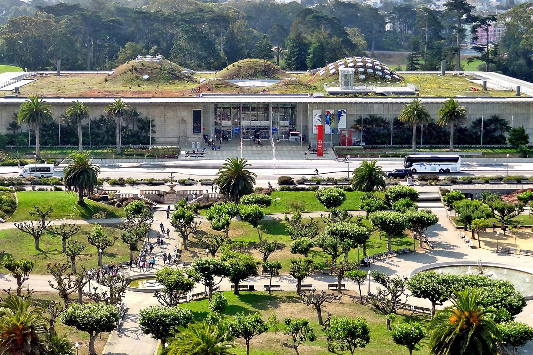 17 California Academy of Sciences