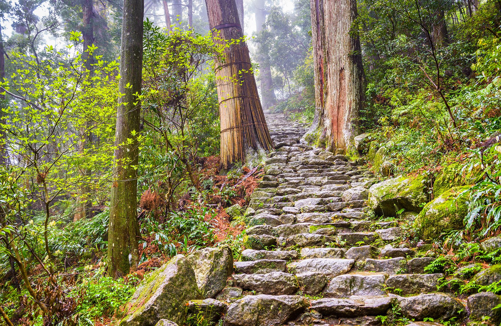 Why You Should Hike the Kumano Kodo Pilgrimage in Japan