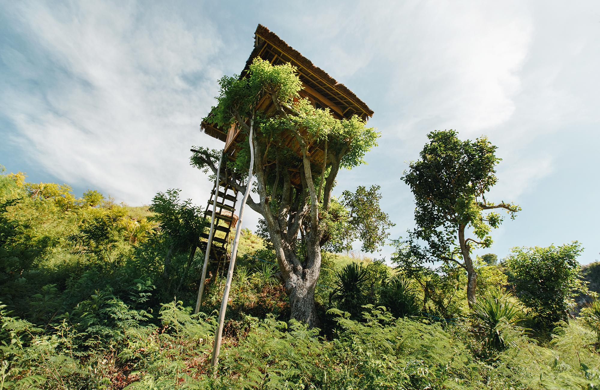 10 Tree House Hotels In The U S