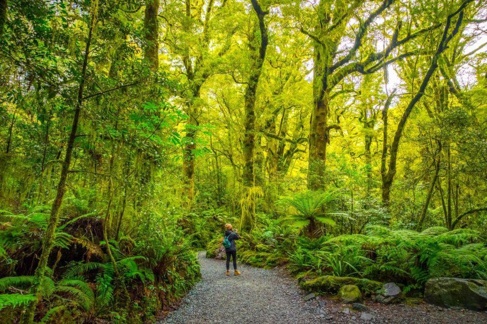 What to See and Do in