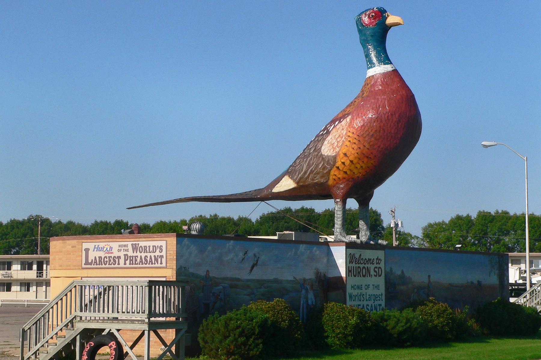 <a href='https://www.fodors.com/world/north-america/usa/south-dakota/experiences/news/this-state-is-home-to-11-roadside-attractions-worth-the-drive#'>From "This State Is Home to 11 Roadside Attractions Worth the Drive: World’s Largest Pheasant"</a>