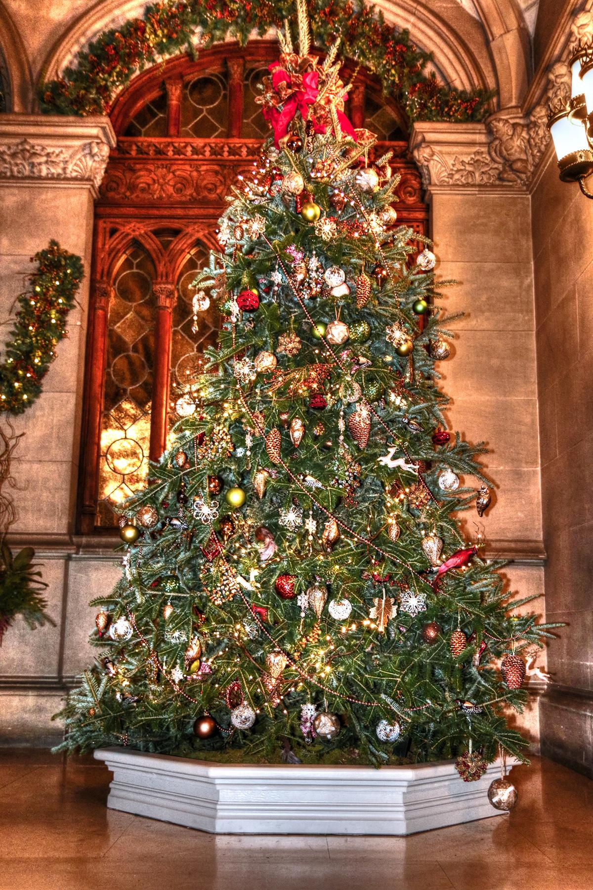 Beautiful Christmas Trees Images