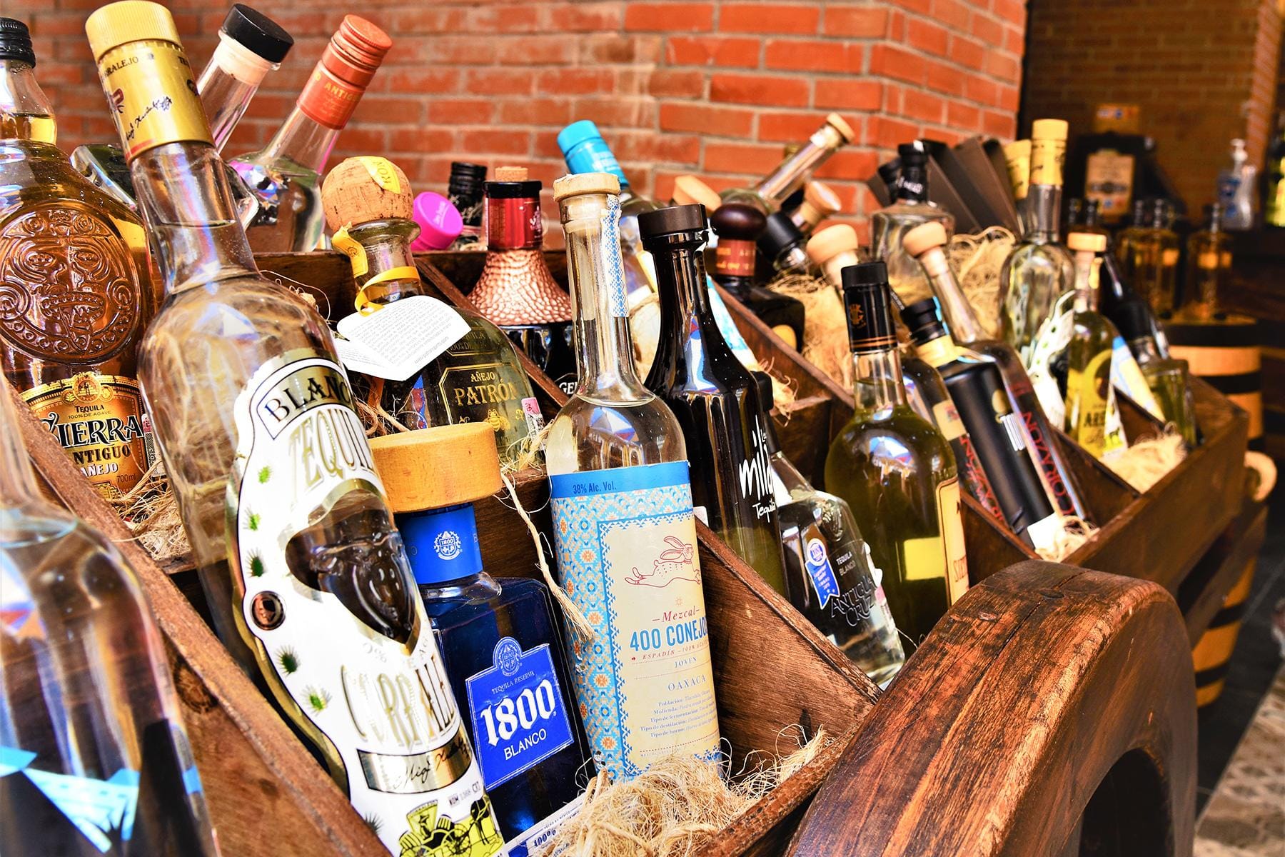 07_UltimateLosCabos__RefineyourMezcalTasting_shutterstock_1204707136