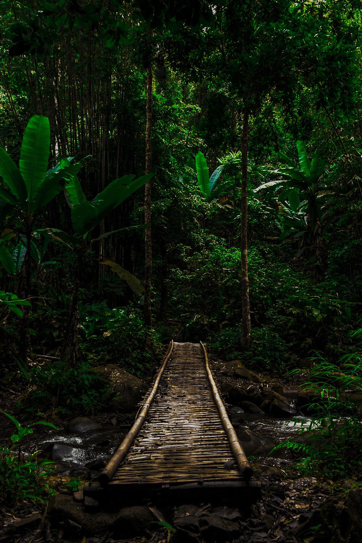 14_AmazonMisadventure_DontBringKeychainFlashlight_shutterstock_748759627_1