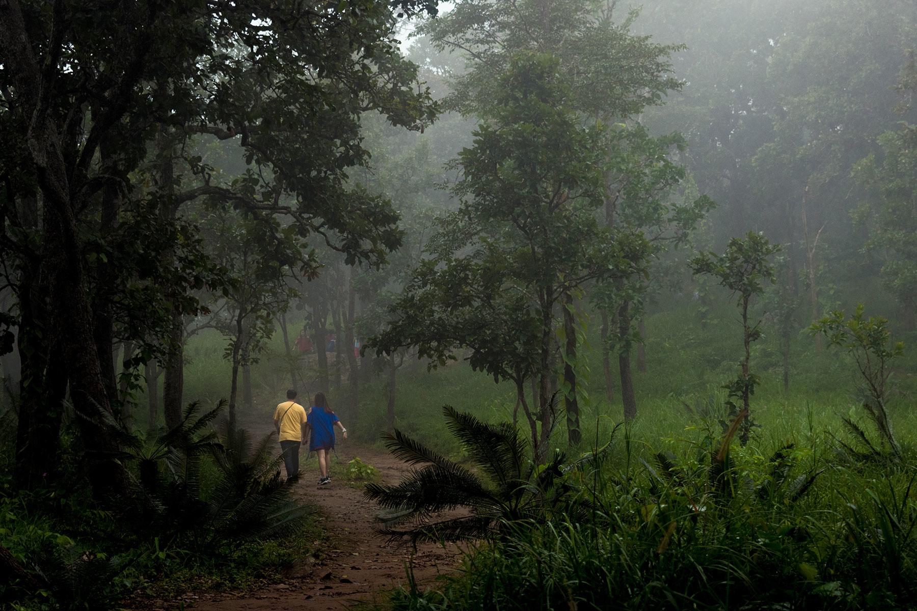 <a href='https://www.fodors.com/world/south-america/brazil/the-amazon/experiences/news/you-have-been-warned-15-things-not-to-do-in-the-amazon-jungle#'>From "YOU HAVE BEEN WARNED: 15 Things NOT to Do in the Amazon Jungle: Do Not Wait Until Night Falls to Fulfill Your Most Crucial Bathroom Needs"</a>
