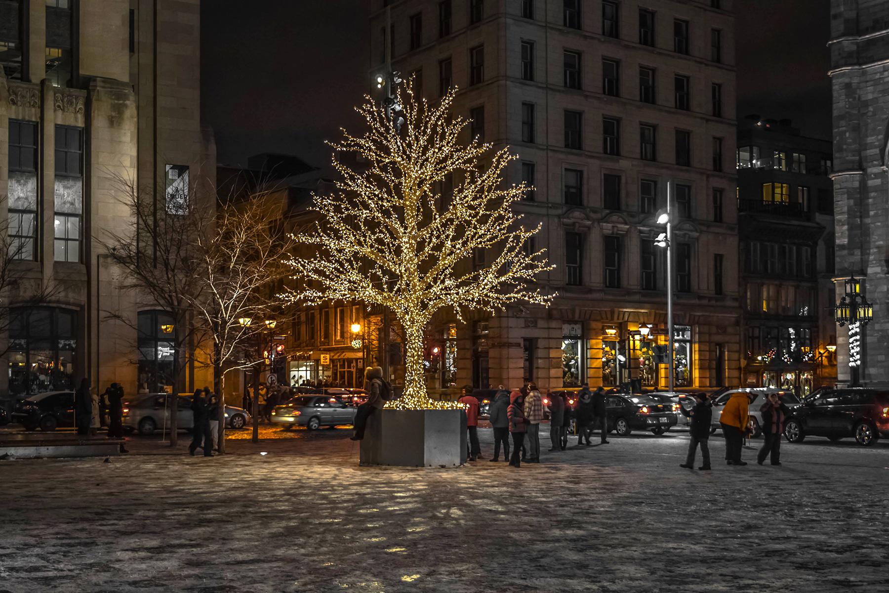 15_World'sMostBeautifulXmastrees_Montreal, Quebec_shutterstock_513607252