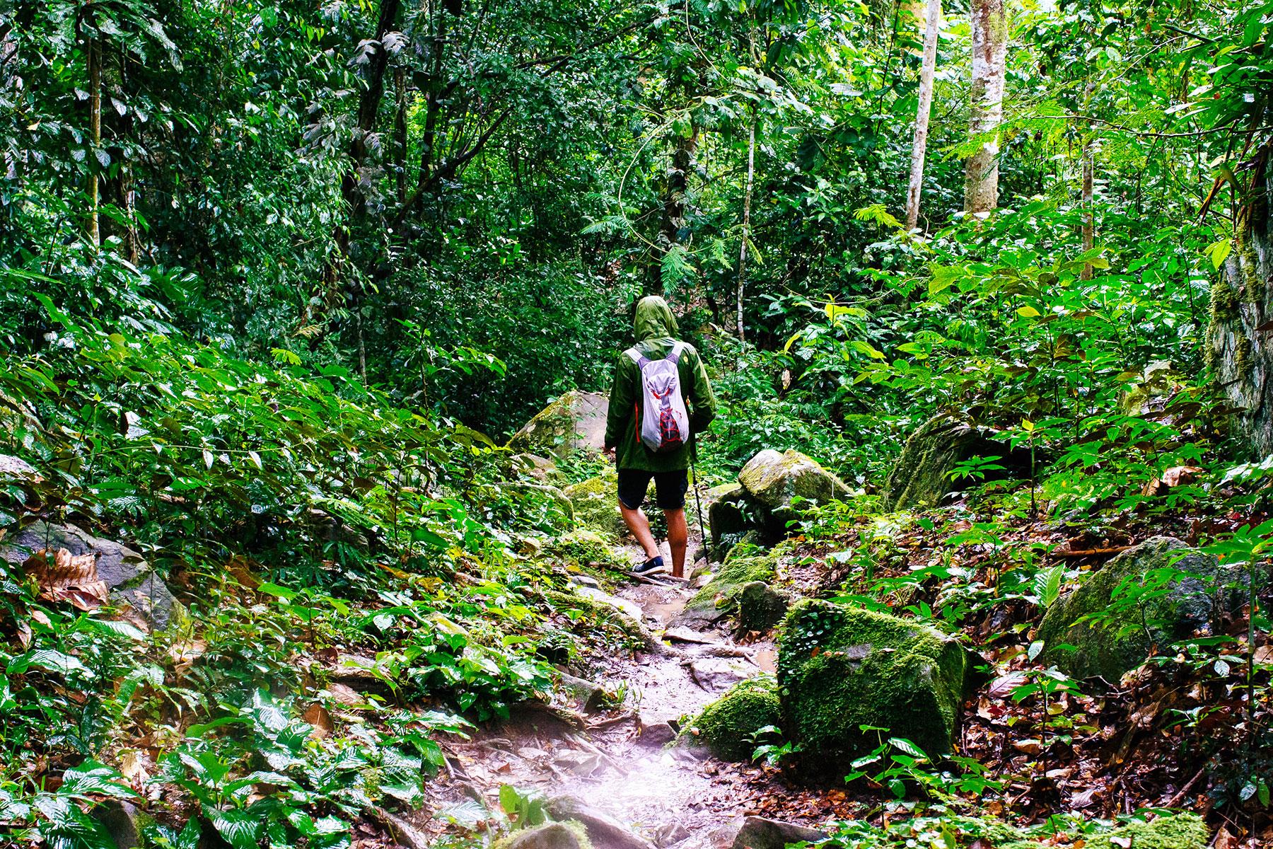 6_AmazonMisadventure_DontHikeTakePhotos_shutterstock_783805318_1
