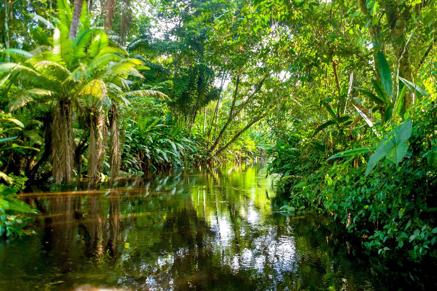 7_AmazonMisadventure_DontBeUptight_shutterstock_181331087_1