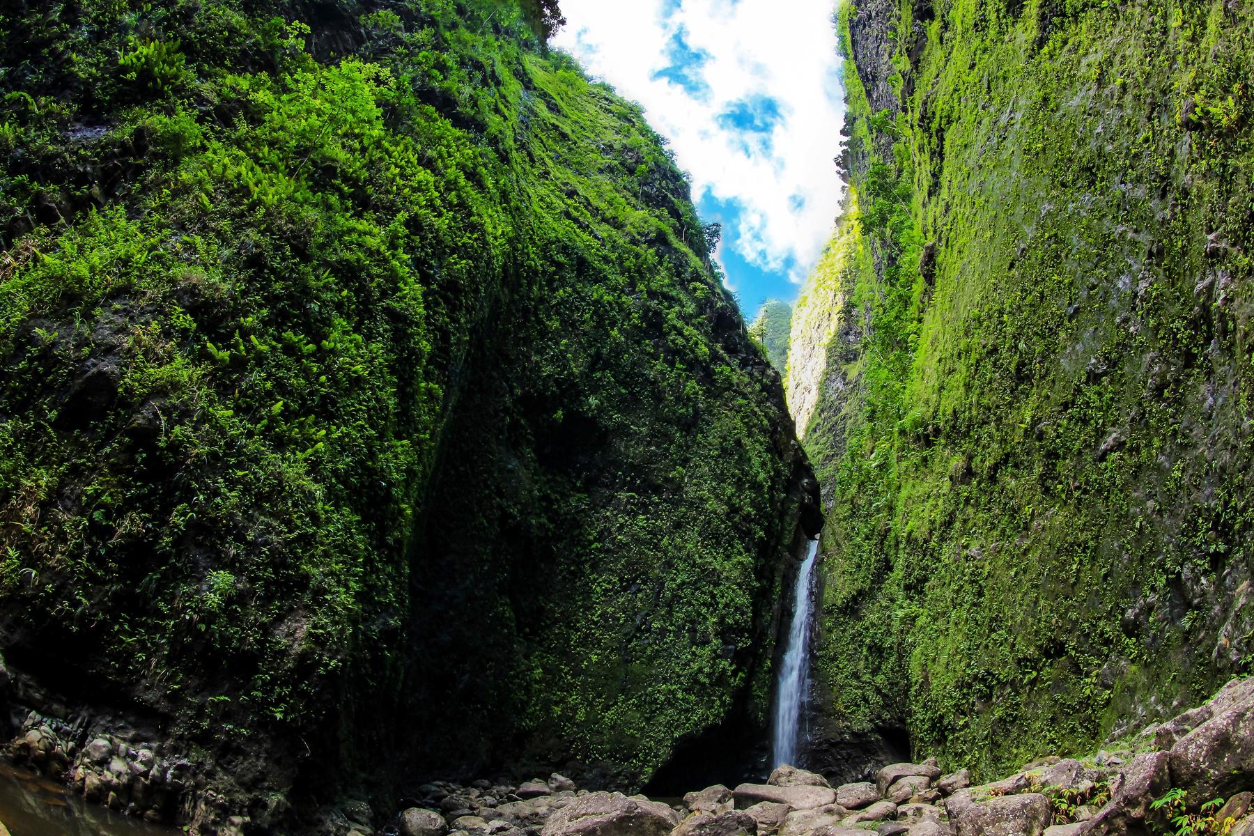 35 Walking in the Rainforest or to a Waterfall