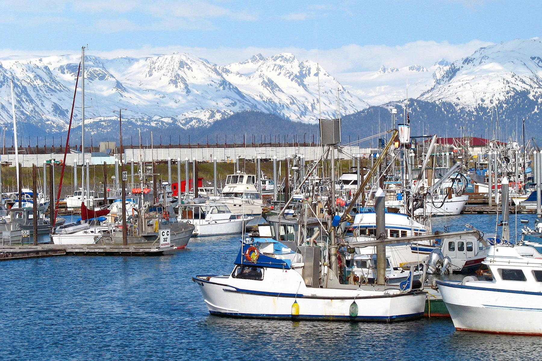 <a href='https://www.fodors.com/world/north-america/usa/alaska/experiences/news/photos/the-10-cant-miss-shore-excursions-to-choose-on-your-alaskan-cruise#'>From "The 10 Can't-Miss Shore Excursions to Choose on Your Alaskan Cruise: Salmon and Halibut Fishing"</a>