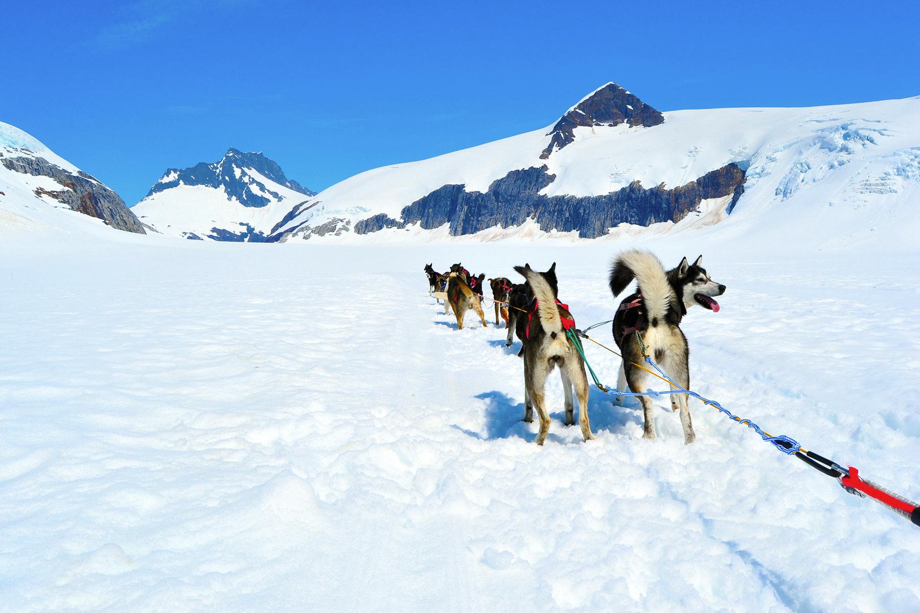<a href='https://www.fodors.com/world/north-america/usa/alaska/experiences/news/photos/the-10-cant-miss-shore-excursions-to-choose-on-your-alaskan-cruise#'>From "The 10 Can't-Miss Shore Excursions to Choose on Your Alaskan Cruise: Dog Sledding on Mendenhall Glacier"</a>