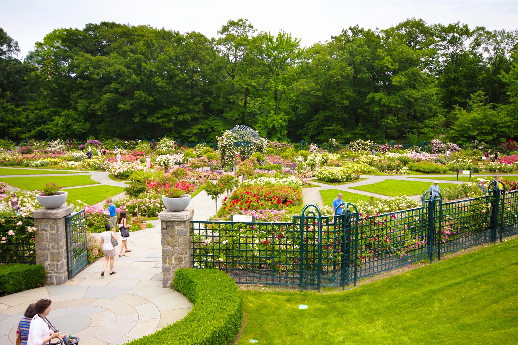 07_WhatNottodoinNYC__Don'tsticktotouristattractions__shutterstock_113425420
