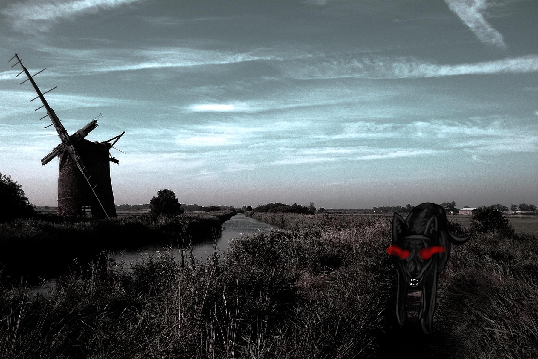 11_black_Shuck_england