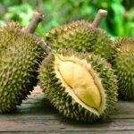 24_25WTEDChina__Durian_shutterstock_422852002