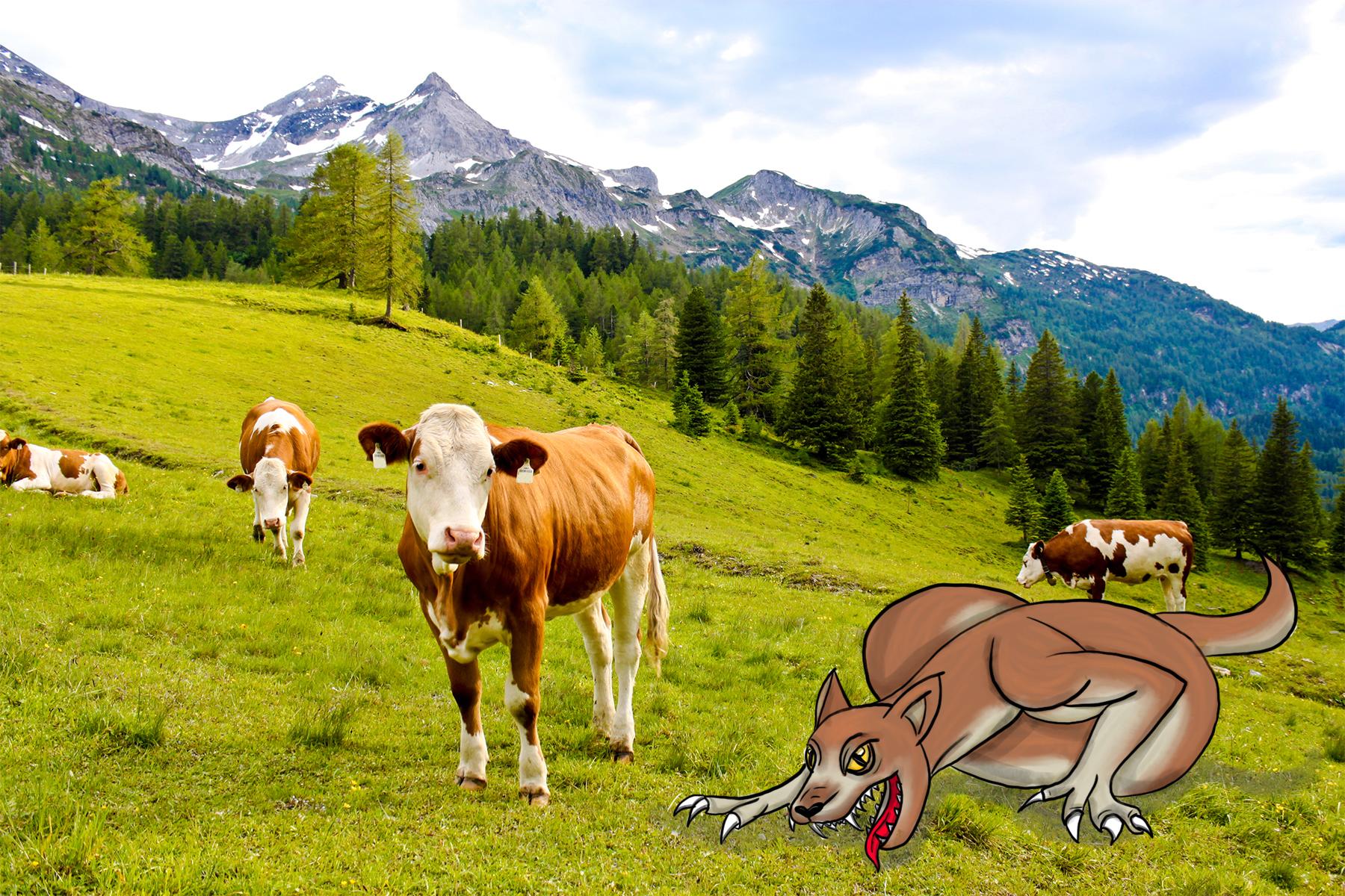 4_Tatzelwurm_Austria