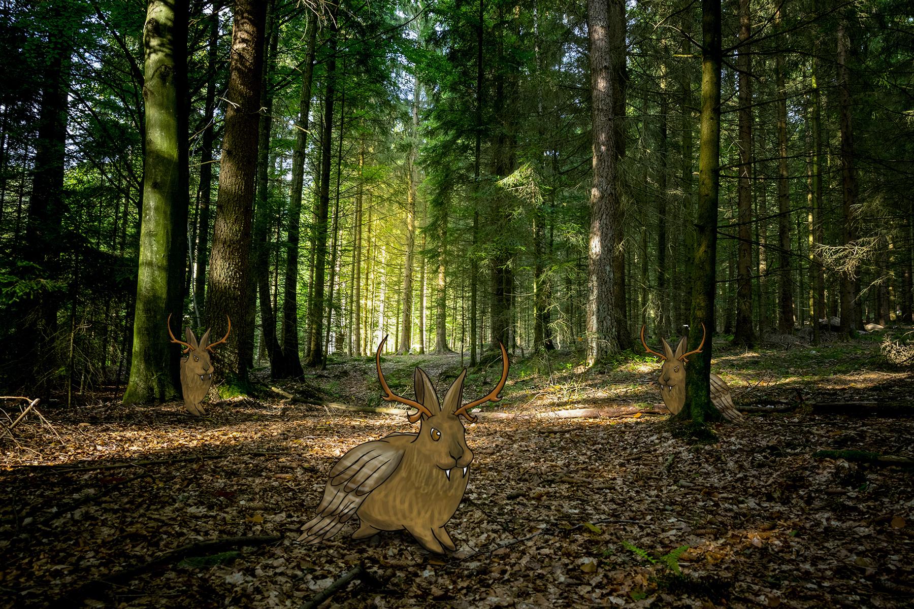 5_Wolpertinger_Bavaria_Germany