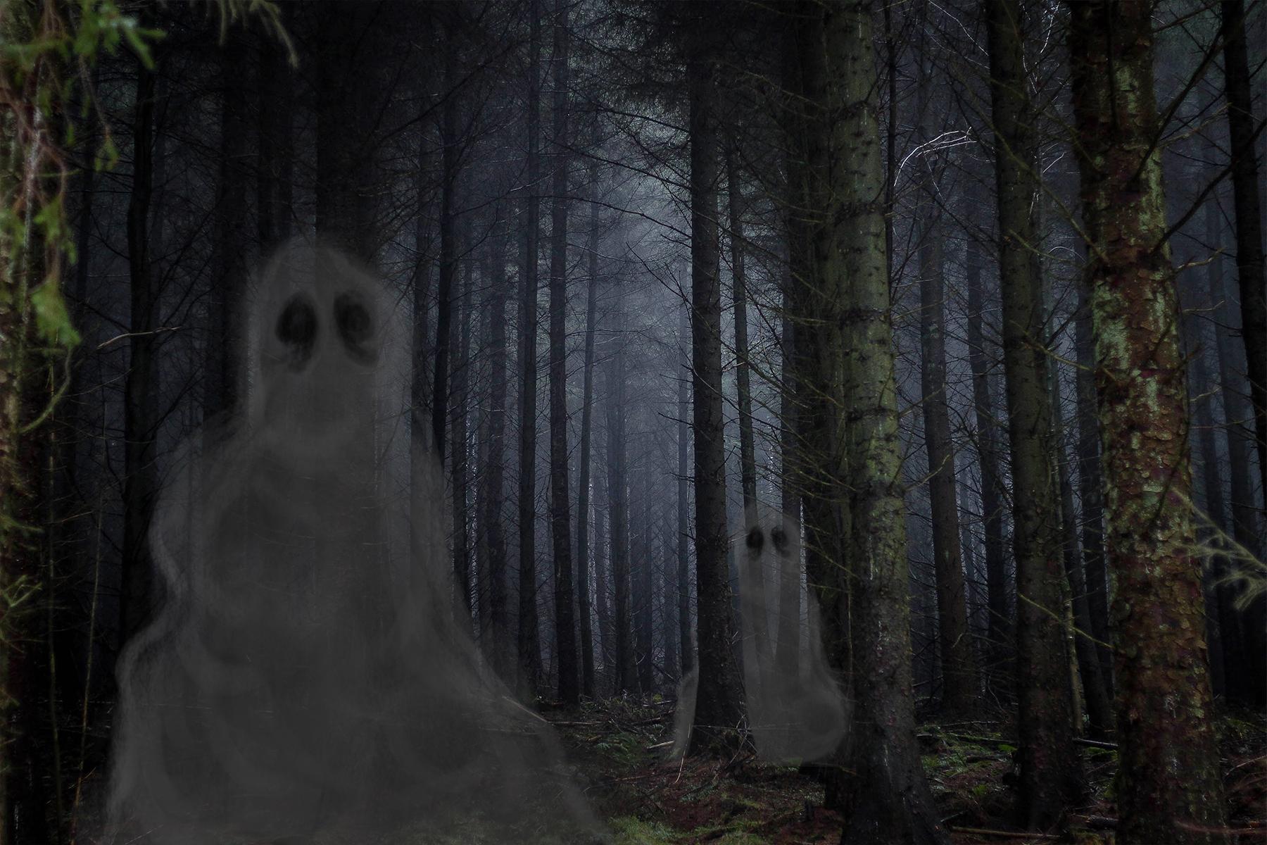 9_Kulmking_shape_shifting_Spirits_Estonia