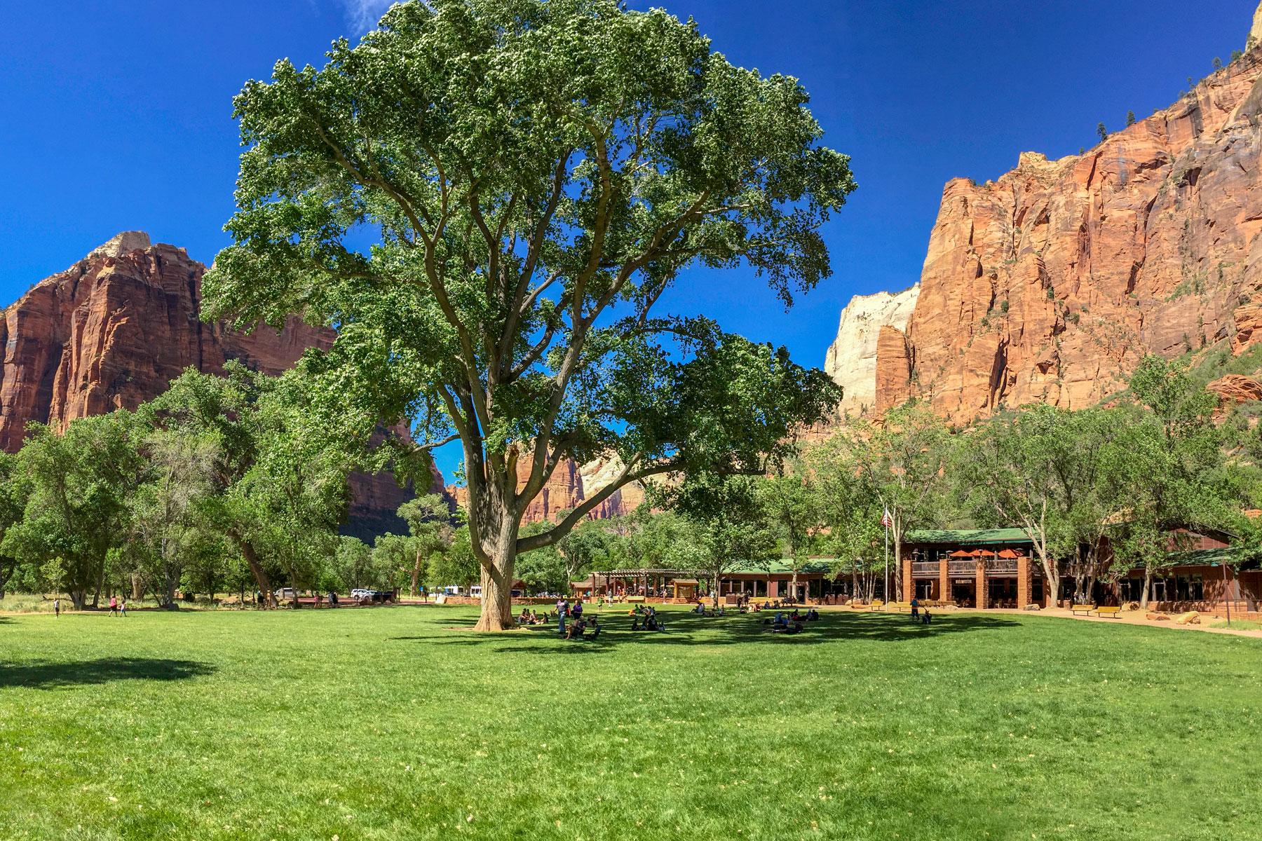 zion lodge