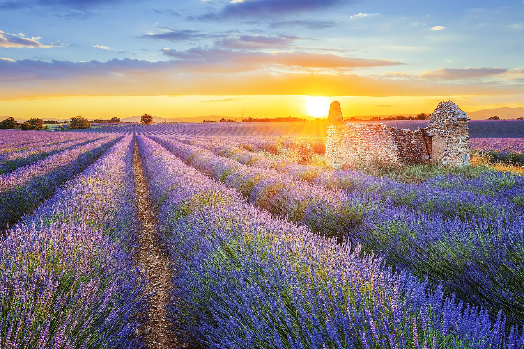 what's the best time to visit provence france