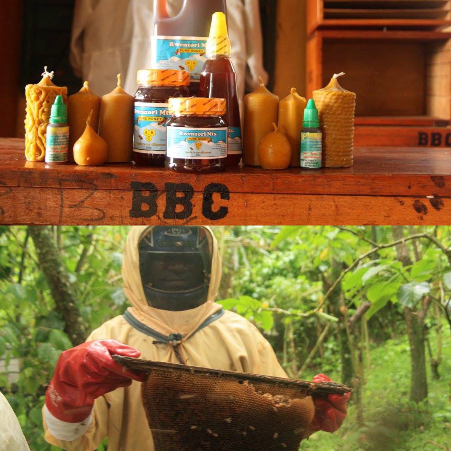 4_PlacesSavingBee_SustainableBeekeeping